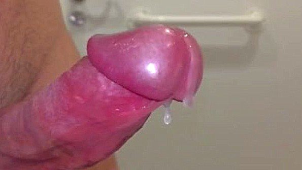 Penis Cum Compilation